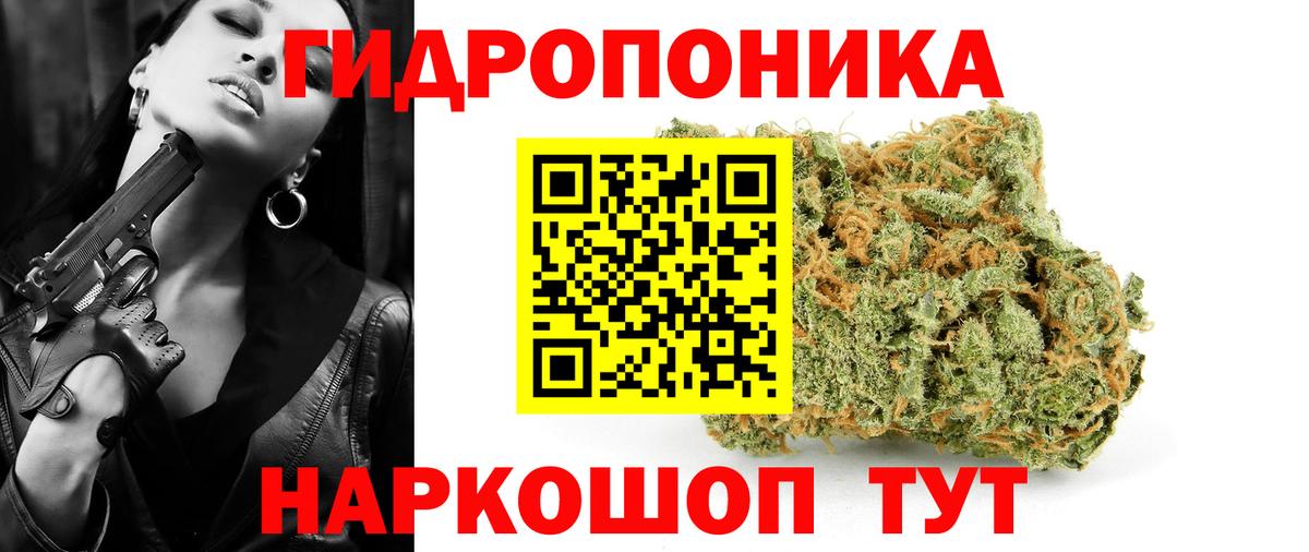 Каннабис ГИДРОПОН Котовск